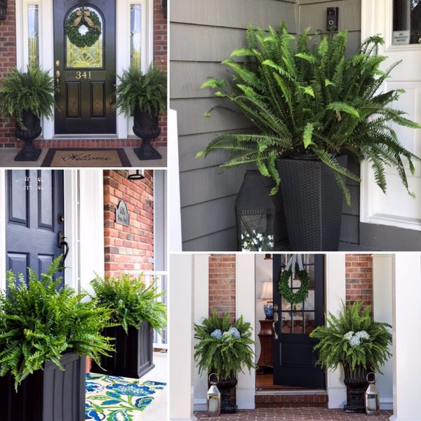 💥UV Resistant Lifelike Artificial Boston Fern
