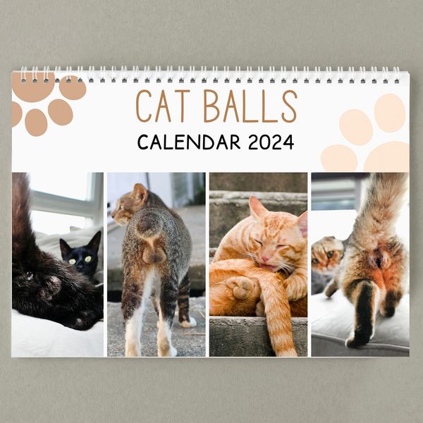🛒50% OFF--Funny Cat Calendar 2024