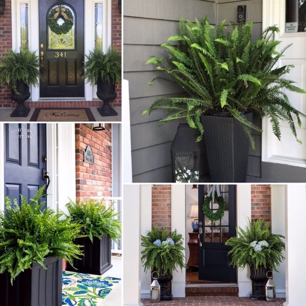 💥UV Resistant Lifelike Artificial Boston Fern