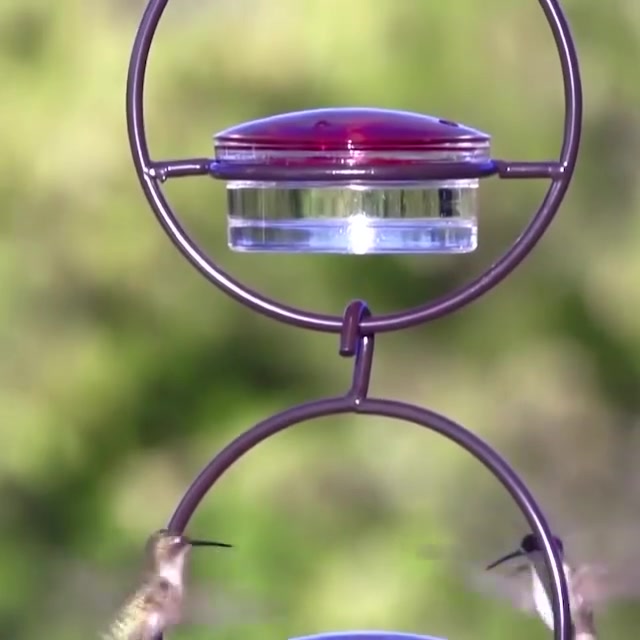 🎉Hummble Slim Hummingbird Feeder