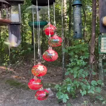 🎉Charming Wind Chimes Hummingbird feeders