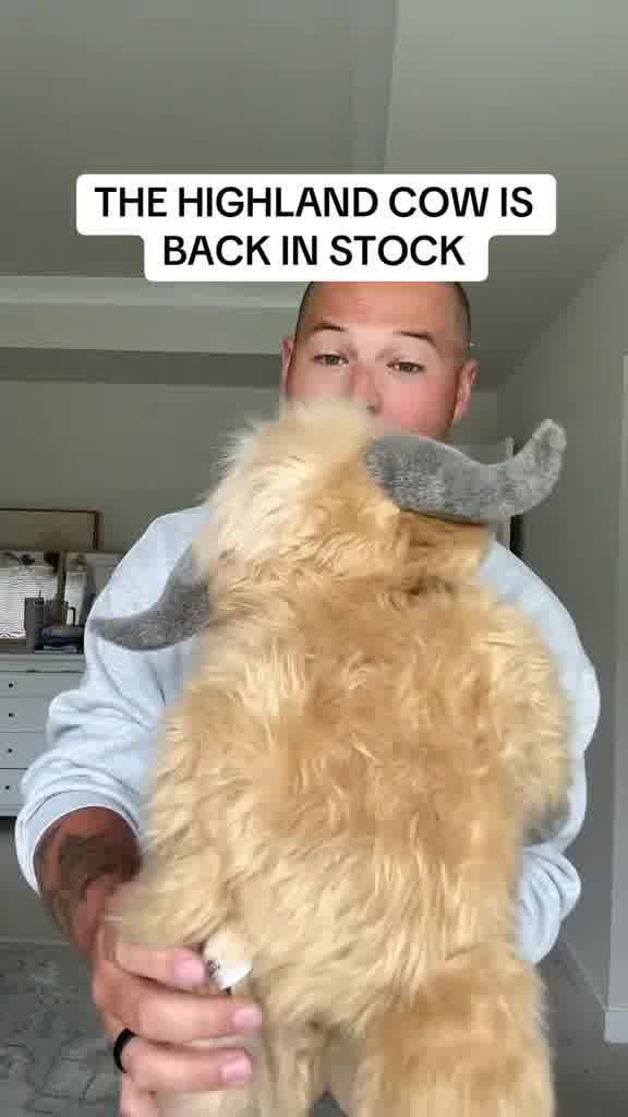$10 SALE