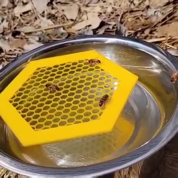 🐝 Floating Bee Island-Bee Waterer