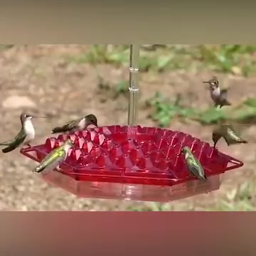 49% OFF-MARY'S HUMMINGBIRD FEEDER WITH PERCH