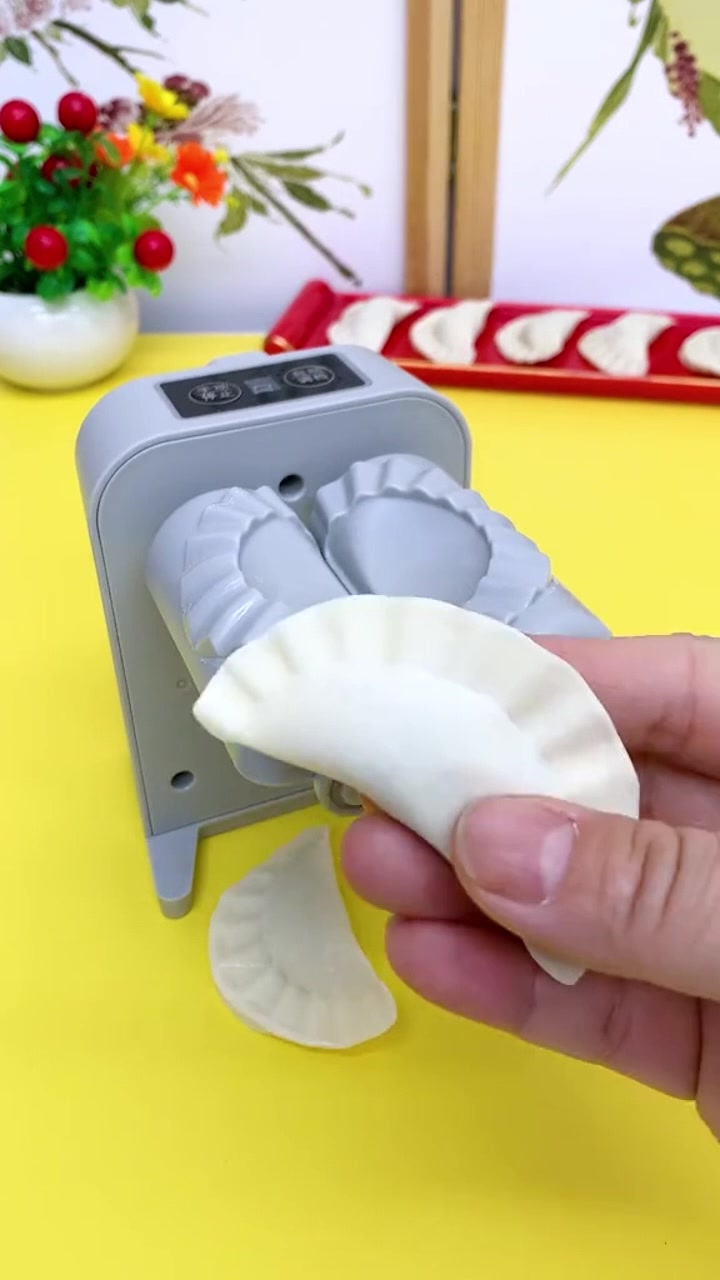 Electric Bag Dumpling Machine