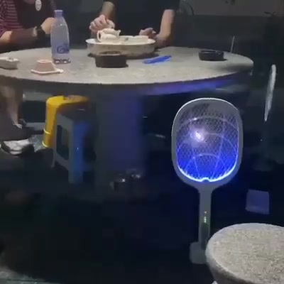 2-in-1 Electric Swatter & Night Mosquito Killing Lamp